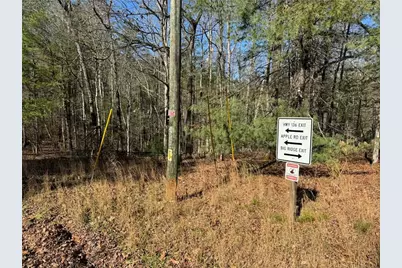 1769 Longbranch Drive, Ranger, GA 30734 - Photo 9