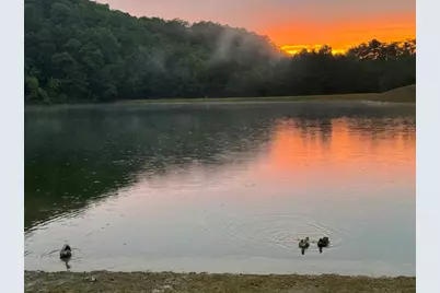 1769 Longbranch Drive, Ranger, GA 30734 - Photo 17