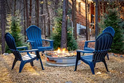 161 Windy Valley Trail, Blue Ridge, GA 30513 - Photo 65