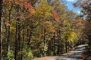 Lot 9 Peter Knob Rd, Blue Ridge, GA 30513 - Photo 1