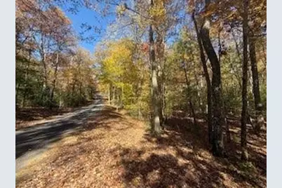 Lot 9 Peter Knob Road, Blue Ridge, GA 30513 - Photo 3
