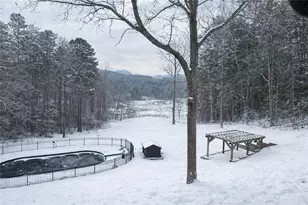 11 Collins Hollow Cove, Morganton, GA 30560 - Photo 53