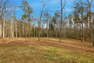 221 Grindstone Creek Dr, Clarkesville, GA 30523 - Photo 41