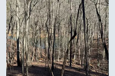 70 Geyser Court, Ranger, GA 30734 - Photo 3