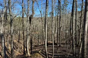 70 Geyser Ct, Ranger, GA 30734 - Photo 1