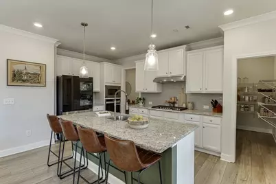 7141 Birch View Court, Flowery Branch, GA 30542 - Photo 7