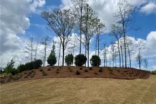 5541 Coalie Trce, Flowery Branch, GA 30542 - Photo 41