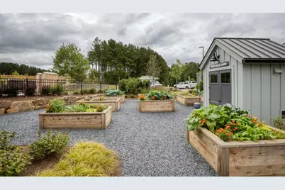 219 Belmont Park Drive, Canton, GA 30115 - Photo 81