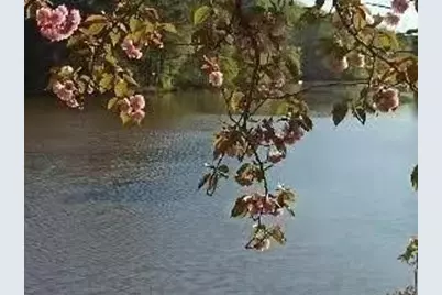 2382 Merrymount Drive, Suwanee, GA 30024 - Photo 71