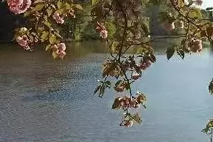 2382 Merrymount Dr, Suwanee, GA 30024 - Photo 71