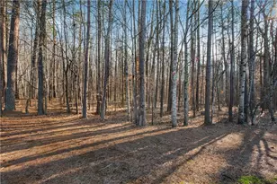 132 Churchcliff Dr, Woodstock, GA 30188 - Photo 35