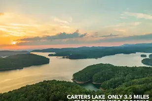 2956 Blalock Mountain Rd, Talking Rock, GA 30175 - Photo 33