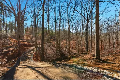 6.731 Acres On Pete Path, Dallas, GA 30157 - Photo 1