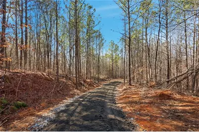 6.731 Acres On Pete Path, Dallas, GA 30157 - Photo 3