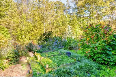 355 Mealer Road, Ellijay, GA 30536 - Photo 5