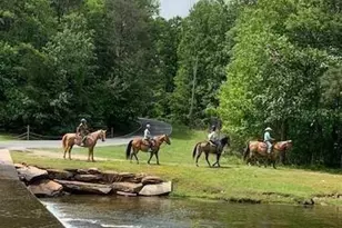 1379 Little Hendricks Mountain Rd, Jasper, GA 30143 - Photo 59