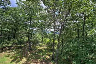 1379 Little Hendricks Mountain Rd, Jasper, GA 30143 - Photo 17