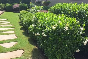 246 Somerset Cir, Woodstock, GA 30189 - Photo 41