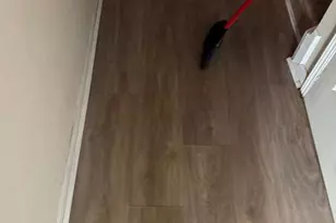 3163 Citrus Ct, Decatur, GA 30034 - Photo 5