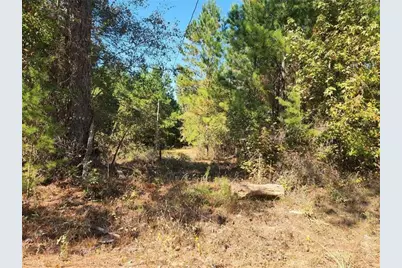 184 Young Road, Milledgeville, GA 31061 - Photo 5