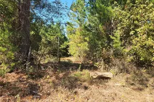 184 Young Rd, Milledgeville, GA 31061 - Photo 5