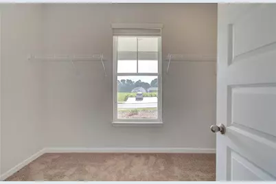 113 Haverling Pass, Hampton, GA 30228 - Photo 23