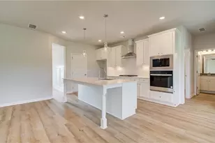 113 Haverling Pass, Hampton, GA 30228 - Photo 13