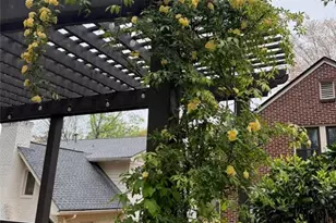 1109 E Rock Springs Rd NE, Atlanta, GA 30306 - Photo 51