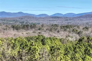 100 Foxpaw Leaf Ct, Ellijay, GA 30536 - Photo 55