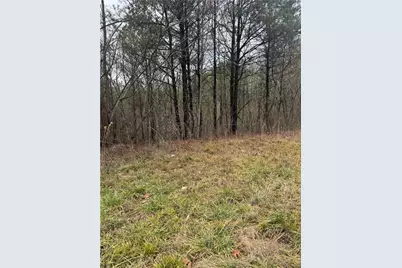 0 Ball Ground Highway, Ball Ground, GA 30107 - Photo 3