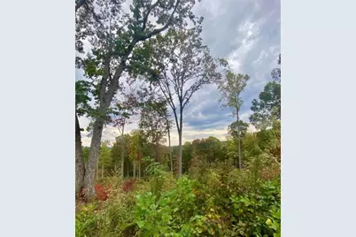 1084 Highgrove Drive, Talking Rock, GA 30175 - Photo 19