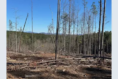 475 Larmon Forks Rd, Dahlonega, GA 30533 - Photo 5