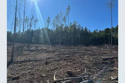 475 Larmon Forks Rd, Dahlonega, GA 30533 - Photo 13