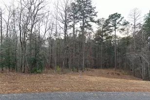 0 Freestone St, Talking Rock, GA 30175 - Photo 15