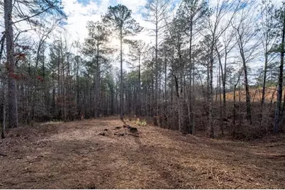0 Freestone Street, Talking Rock, GA 30175 - Photo 5