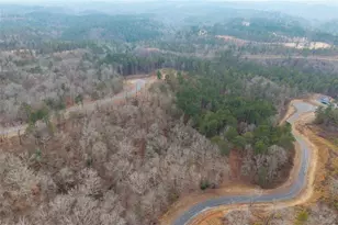 0 Freestone St, Talking Rock, GA 30175 - Photo 13