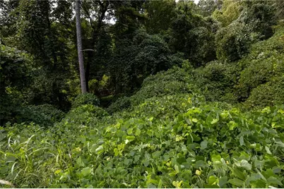 1828 Tulip Drive, Gainesville, GA 30507 - Photo 9