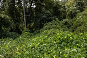 1828 Tulip Dr, Gainesville, GA 30507 - Photo 9