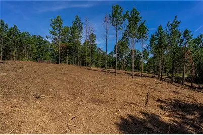 1 Young Loop, Fairmount, GA 30139 - Photo 7