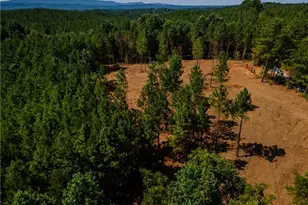 1 Young Loop, Fairmount, GA 30139 - Photo 1