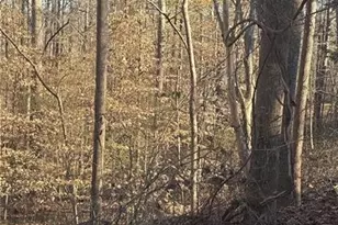 4440 Susans Way, Snellville, GA 30039 - Photo 1