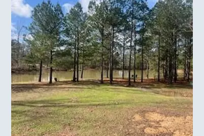 9 Foothills Trail, Sharpsburg, GA 30277 - Photo 41