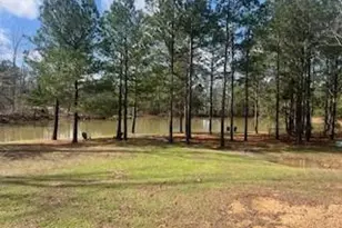 9 Foothills Trl, Sharpsburg, GA 30277 - Photo 41