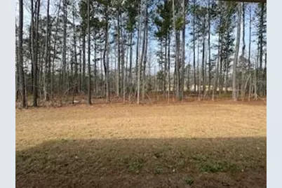 9 Foothills Trail, Sharpsburg, GA 30277 - Photo 39