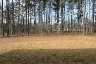 9 Foothills Trl, Sharpsburg, GA 30277 - Photo 39