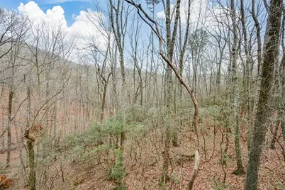 80 Mountain Mint Drive, Big Canoe, GA 30143 - Photo 47