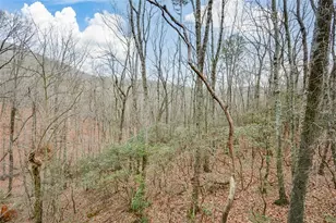 80 Mountain Mint Dr, Big Canoe, GA 30143 - Photo 47