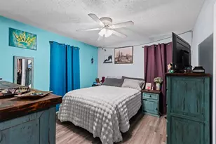 723 Buchanan Bypass, Buchanan, GA 30113 - Photo 25