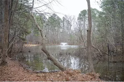 151 Cherokee Point Drive, Canton, GA 30114 - Photo 13