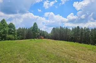 2 Young Loop, Fairmount, GA 30139 - Photo 1